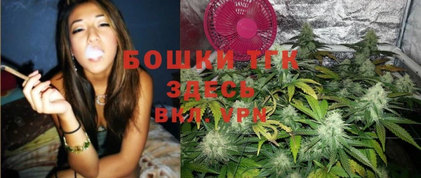 хмурый Абаза