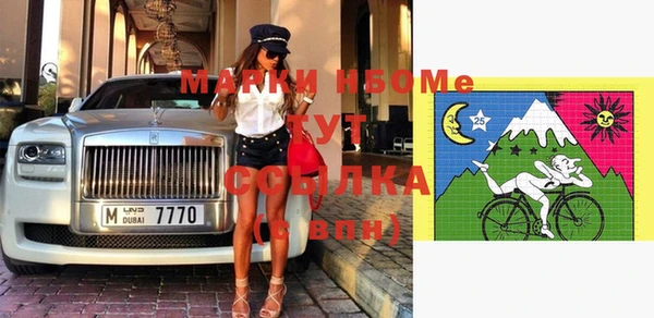 хмурый Абаза