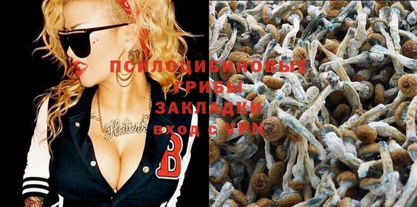 спайс Абинск