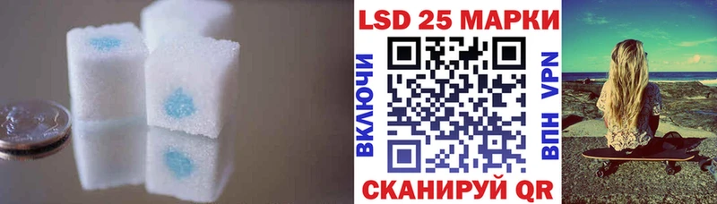 Лсд 25 экстази кислота  что такое   гидра зеркало  Приозерск 